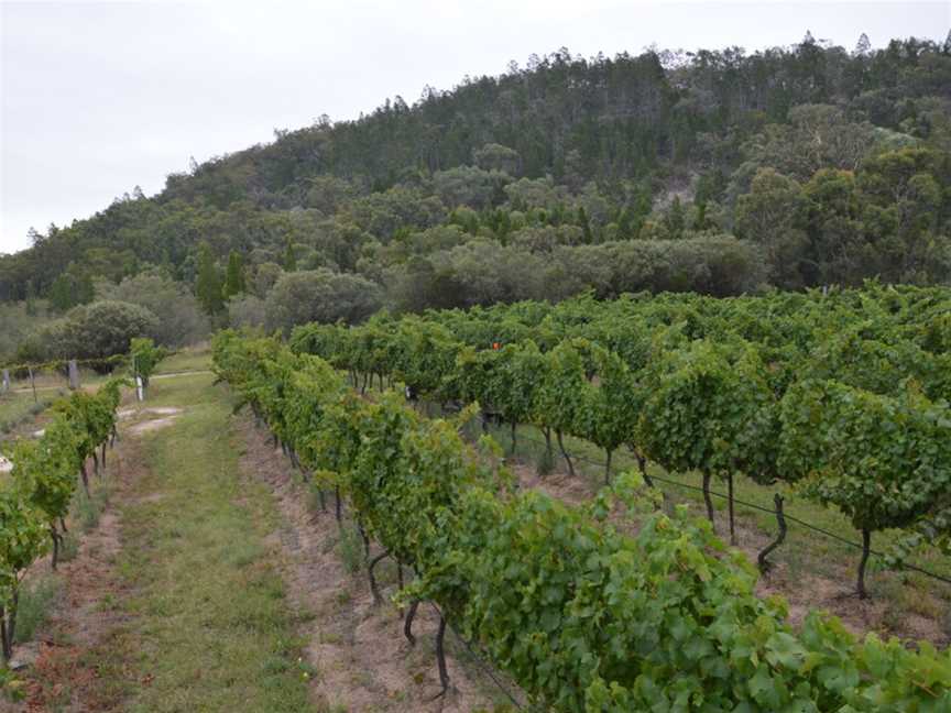 View Wine by Sancerre Estate, Ballandean, Queensland