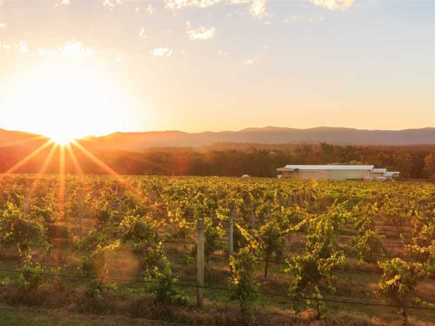 Capercaillie Wines, Lovedale, New South Wales