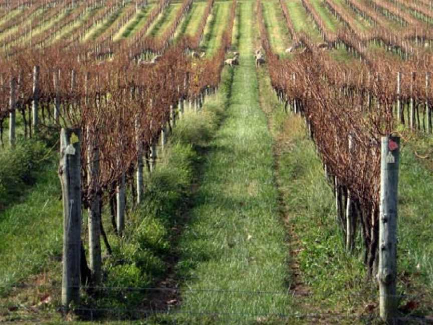 Centennial Vineyards, Bowral, New South Wales
