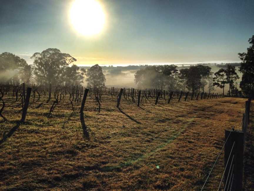 Elbourne Wines, Pokolbin, New South Wales