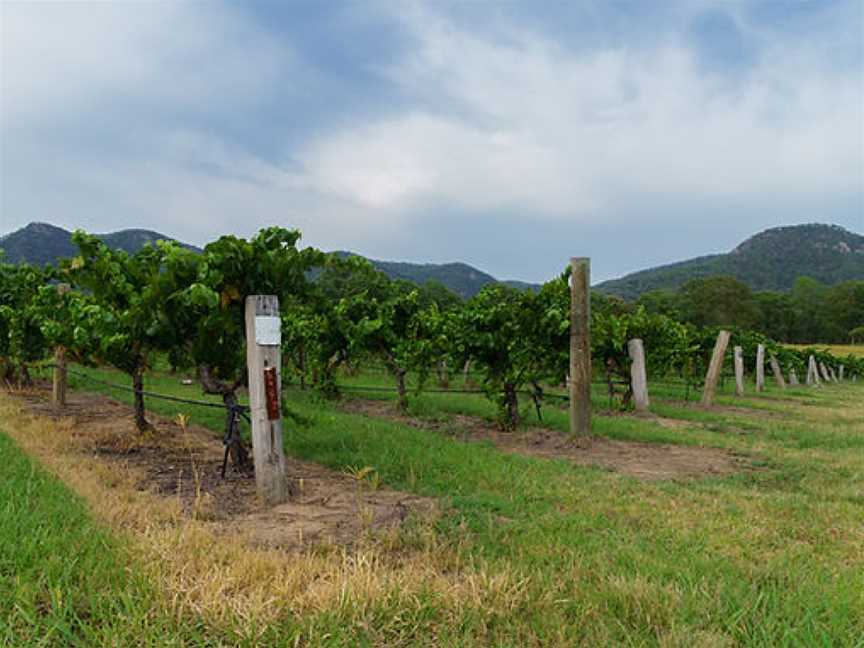 Leogate Estate Wines, Pokolbin, New South Wales