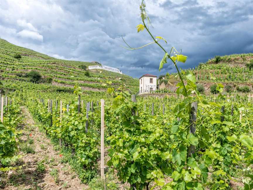 M. Chapoutier Australia, Wineries in Heathcote