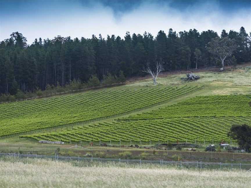 Mount Majura Vineyard, Wineries in Majura