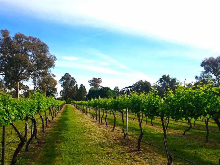 Murrumbateman Winery, Murrumbateman, New South Wales