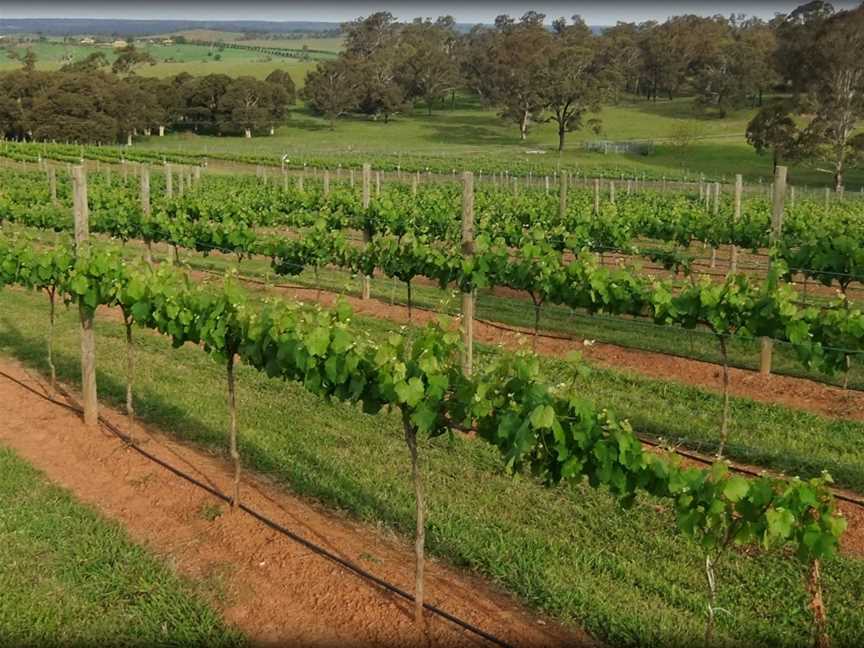 Razorback Ridge Wines, Menangle, New South Wales