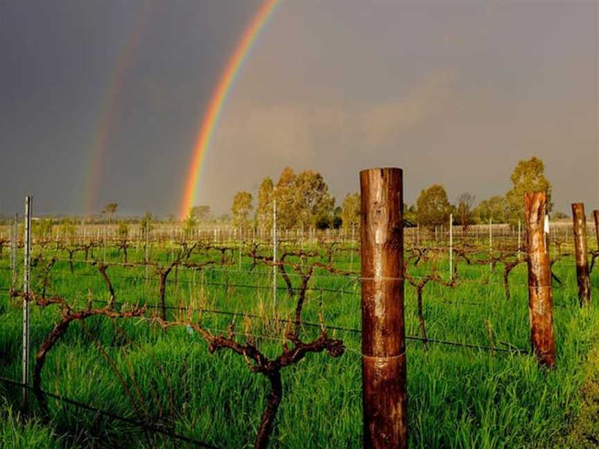Rosnay Organic Wines, Canowindra, New South Wales