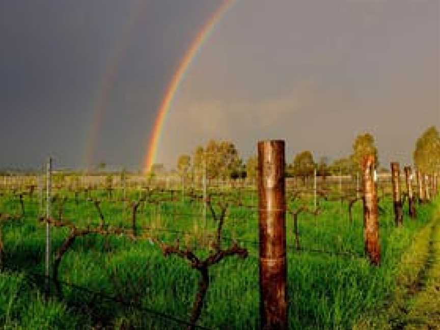 Rosnay Organic Wines, Canowindra, New South Wales