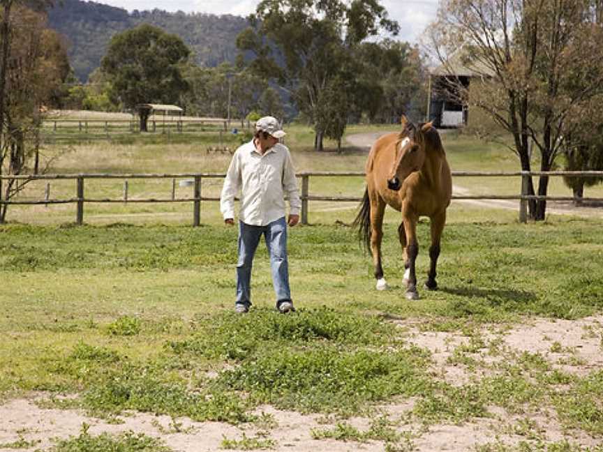 Running Horse Wines, Broke, New South Wales