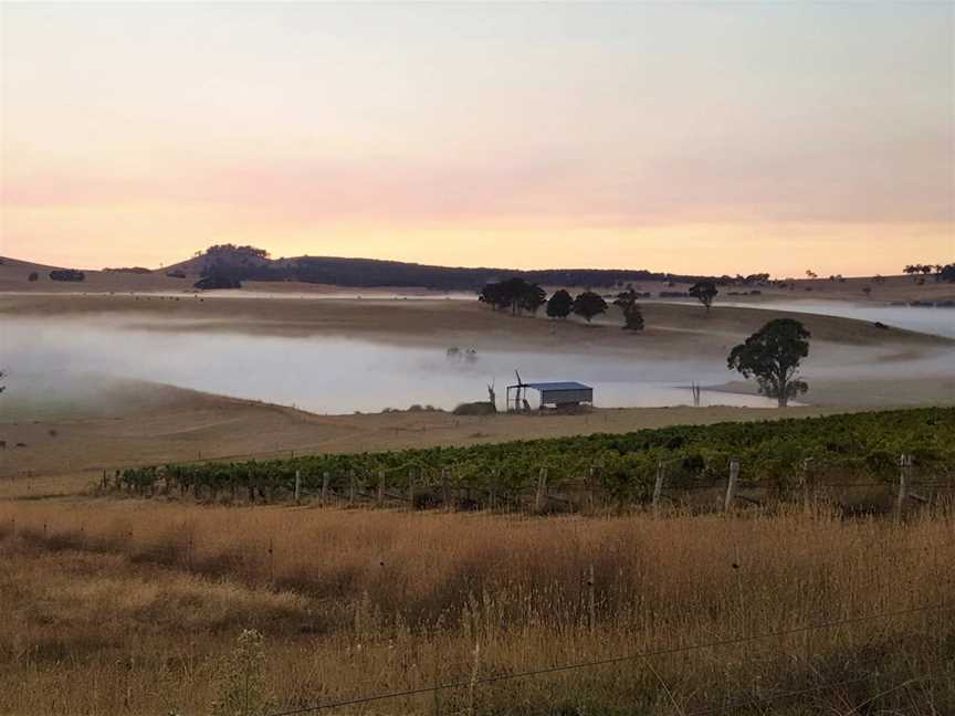 Slow Wine Co, Millthorpe, New South Wales