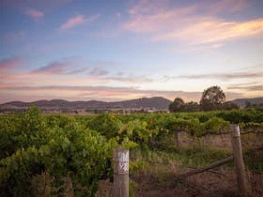 Thistle Hill, Wineries in Mudgee