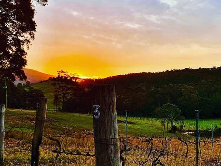 Tilba Valley Winery & Alehouse, Corunna, New South Wales