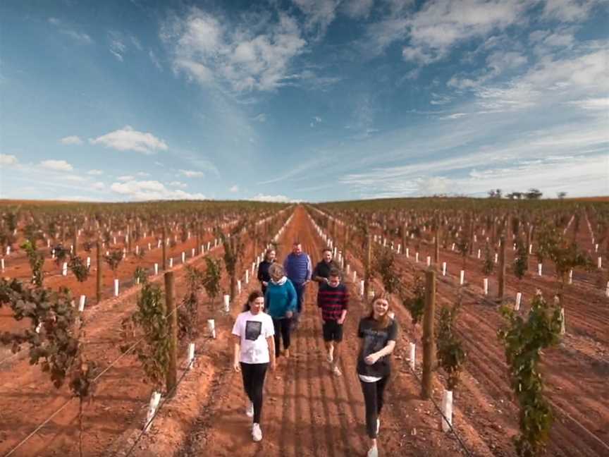 Zilzie Wines, Bardoc, New South Wales