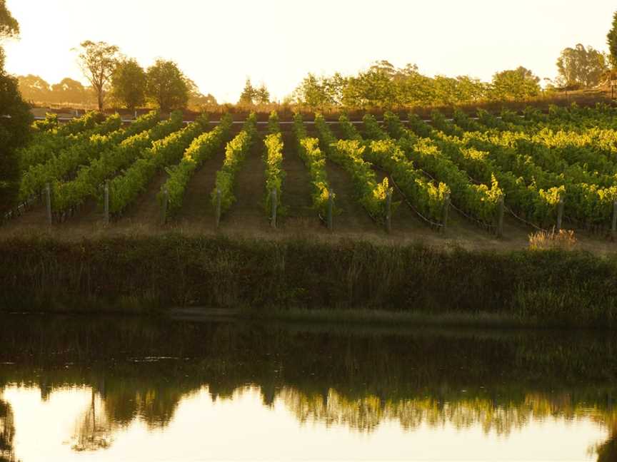 Brook Eden Vineyard, Wineries in Lebrina