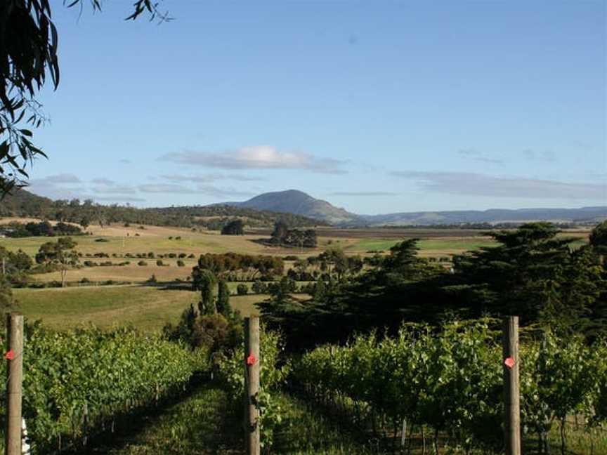 Pooley Wines, Wineries in Richmond