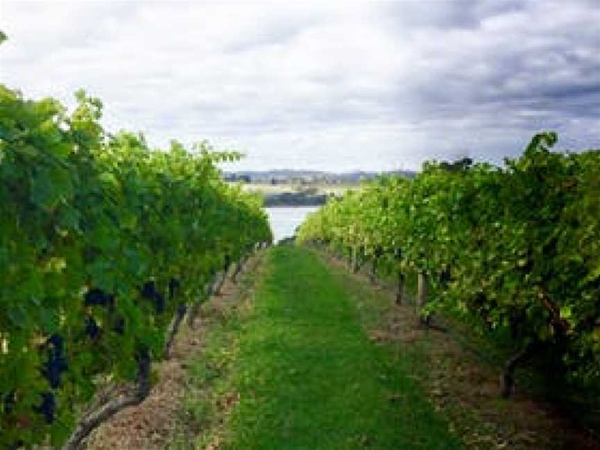 Waterton Hall Wines, Rowella, Tasmania