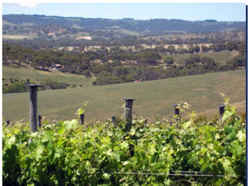 Carrickalinga Creek Vineyard, Wineries in Normanville
