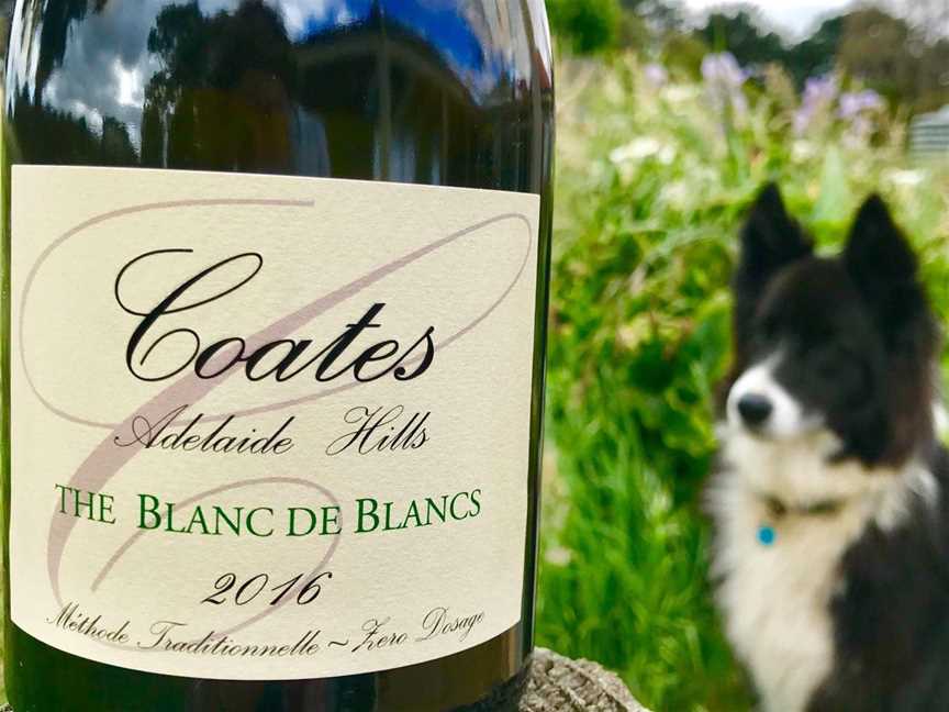 Coates Wines, Wineries in Kuitpo