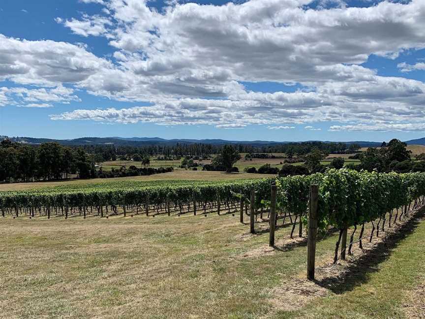 Small Island Wines, Wineries in Hobart