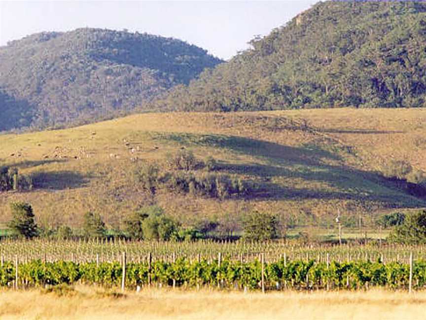 Pyramid Hill Wines, Wineries in Denman