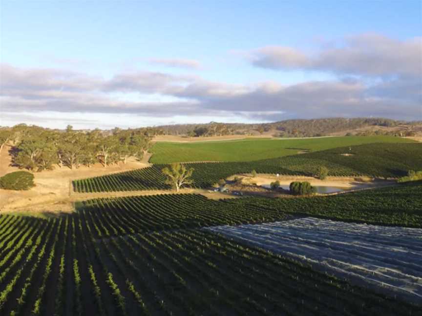 Guthrie Wines, Wineries in Gumeracha