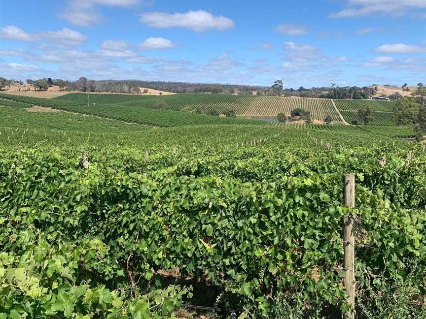 Nova Vita Wines, Wineries in Kenton Valley
