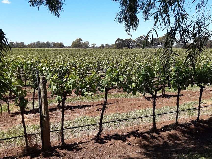 Bowen Estate, Wineries in Coonawarra
