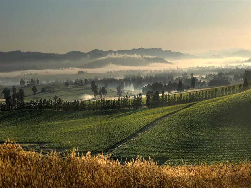 Tumblong Hills, Wineries in Gundagai