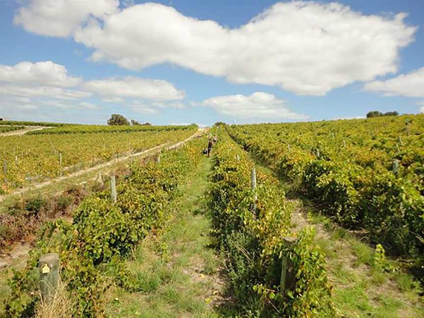 Arakoon, Wineries in McLaren Vale