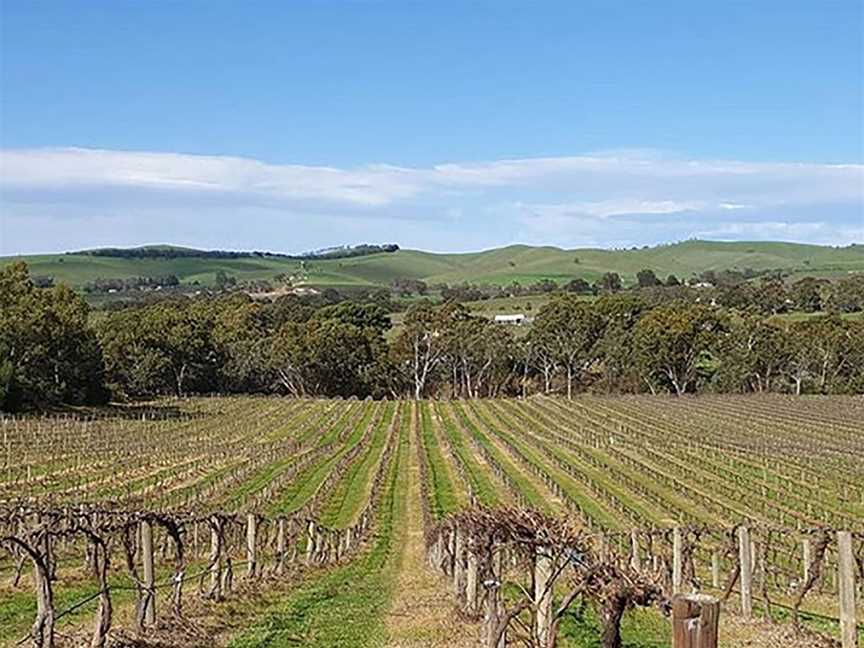 Jenke Vineyards, Wineries in Rowland Flat