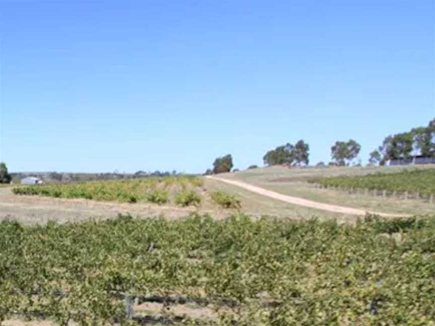 Heidenreich Estate, Wineries in Tanunda