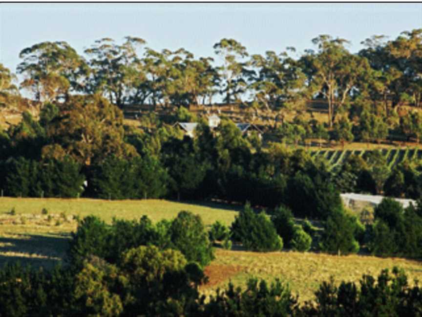 Candlebark Hill, Wineries in Kyneton