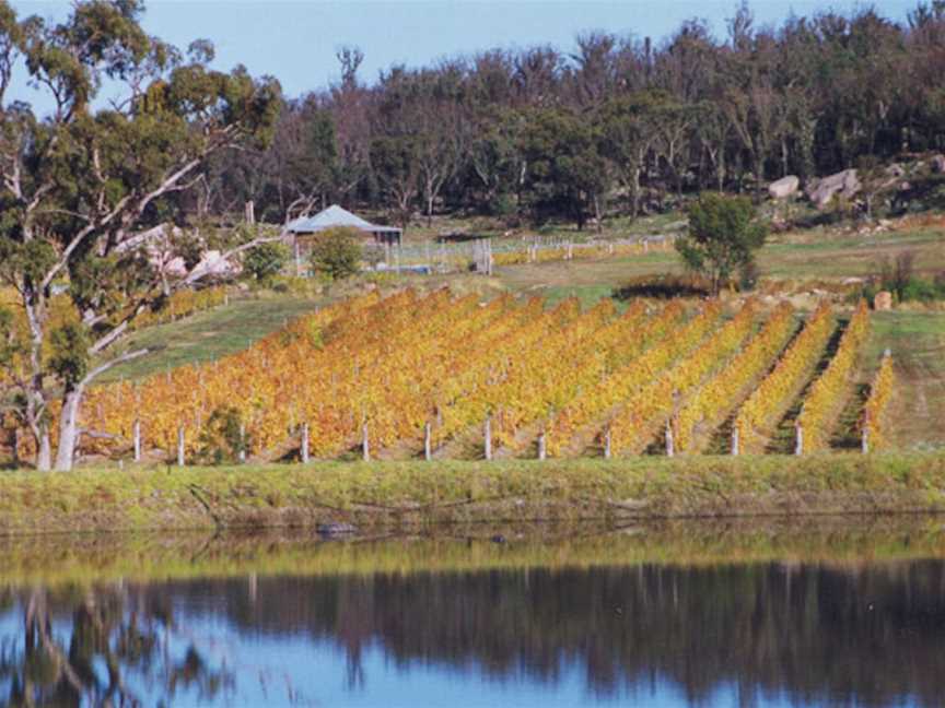 Symphony Hill Wines, Wineries in Ballandean