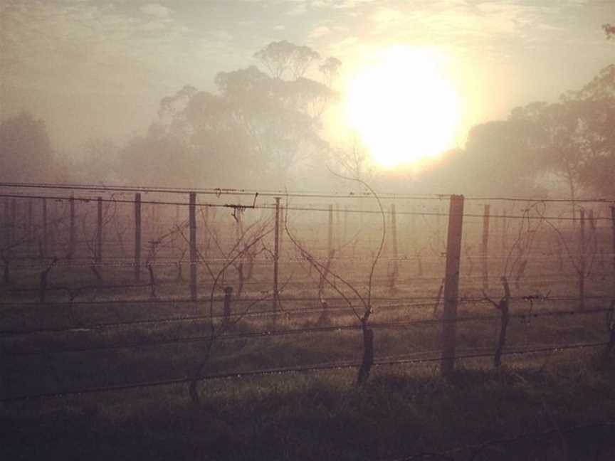 Taturry, Wineries in Merricks North