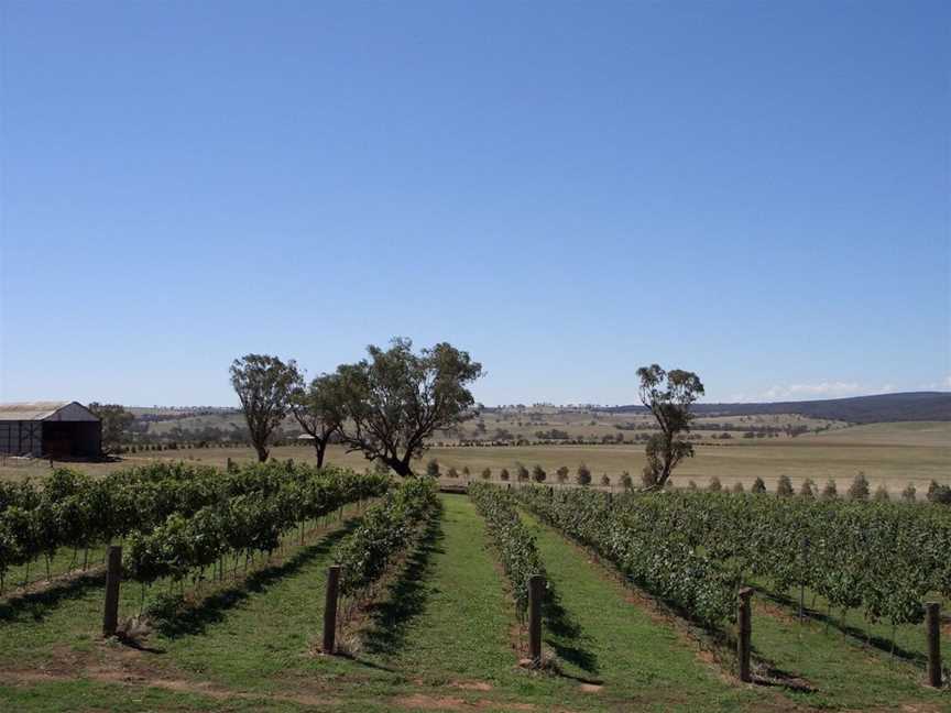 Trandari Wines, Wineries in Murringo