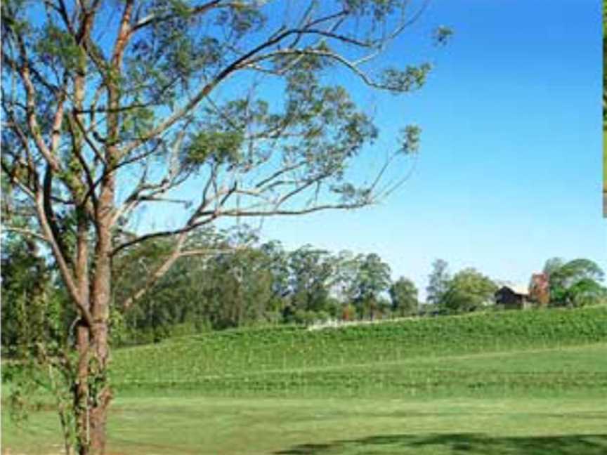 Inneslake Vineyards, Wineries in Lake Innes