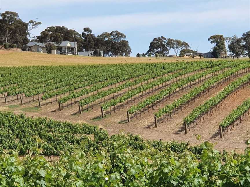 Neagles Rock Wines, Wineries in Emu Flat