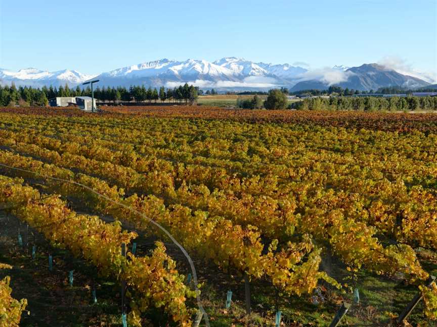 Aitken's Folly, Wanaka, New Zealand