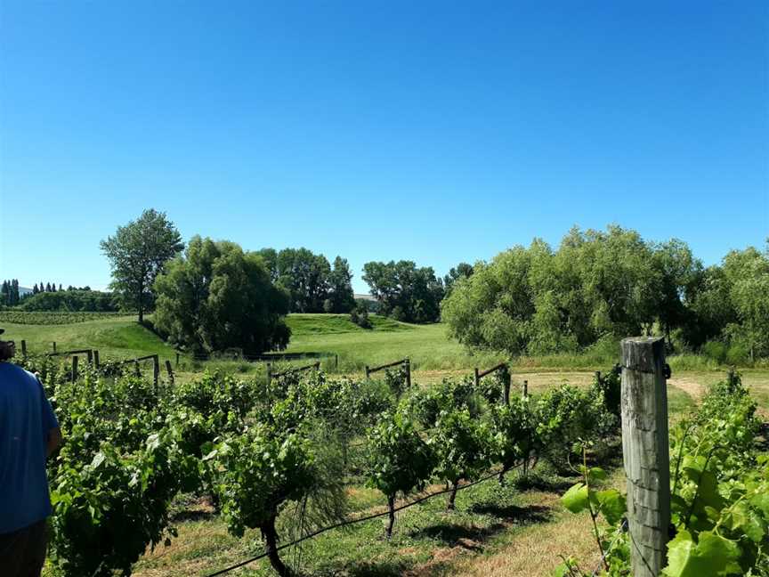 Bain Road Wines, Amberley, New Zealand