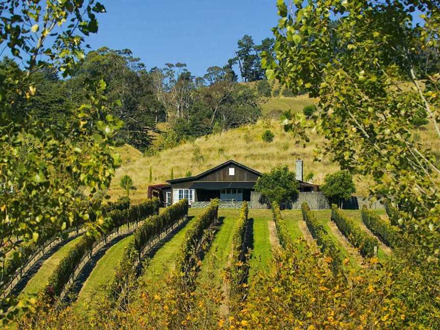 Black Barn Vineyards, Havelock North, New Zealand
