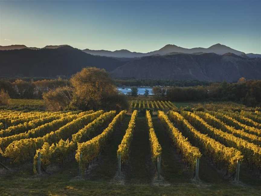 Cirro Wines, Renwick, New Zealand