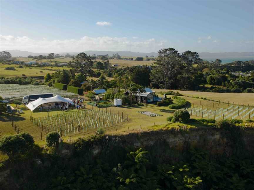 Cliff Edge Wines, Manukau Heads, New Zealand