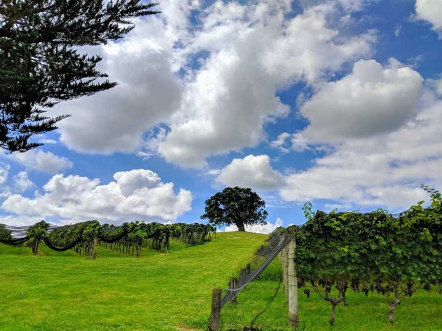 Goldie Estate, Surfdale, New Zealand