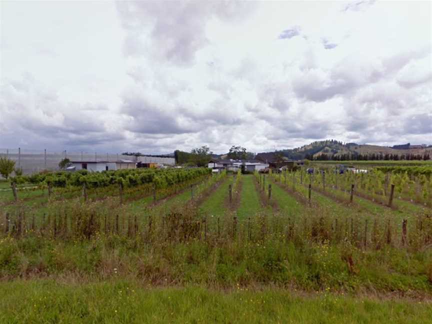 Hihi Wines, Ormond, New Zealand