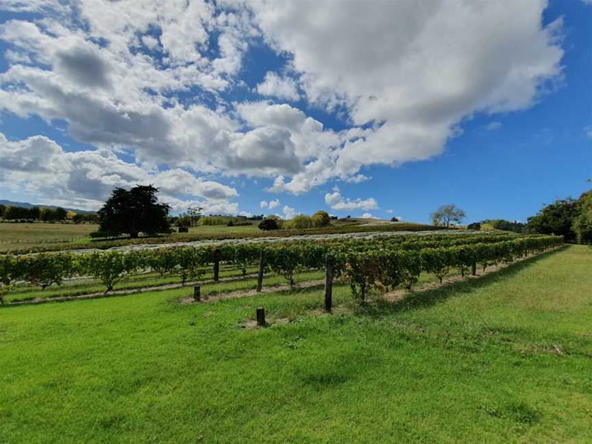 Hyperion Wines, Matakana, New Zealand