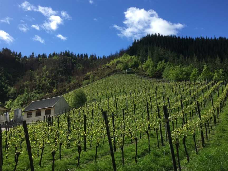 Johanneshof Cellars, Koromiko, New Zealand