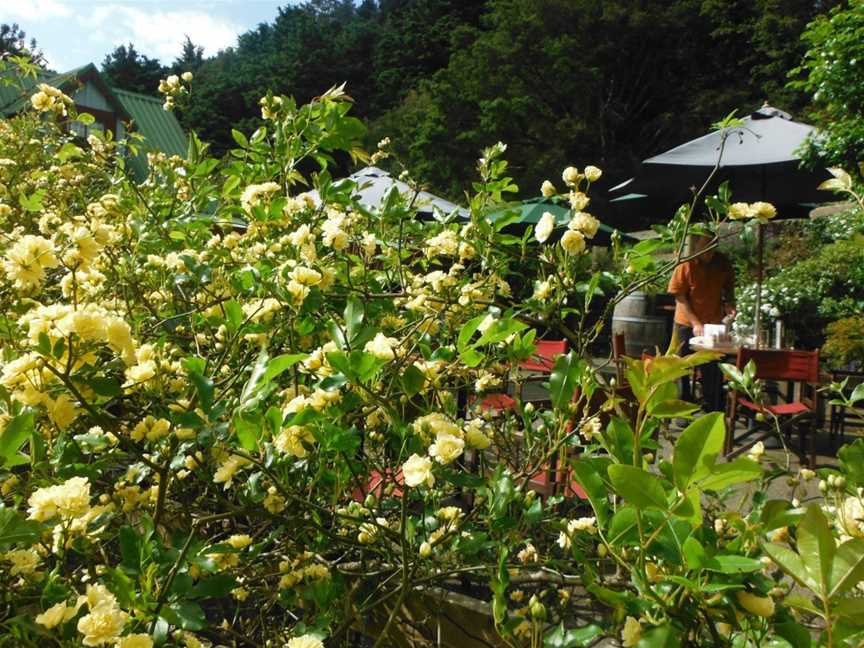 Ohinemuri Estate, Karangahake, New Zealand