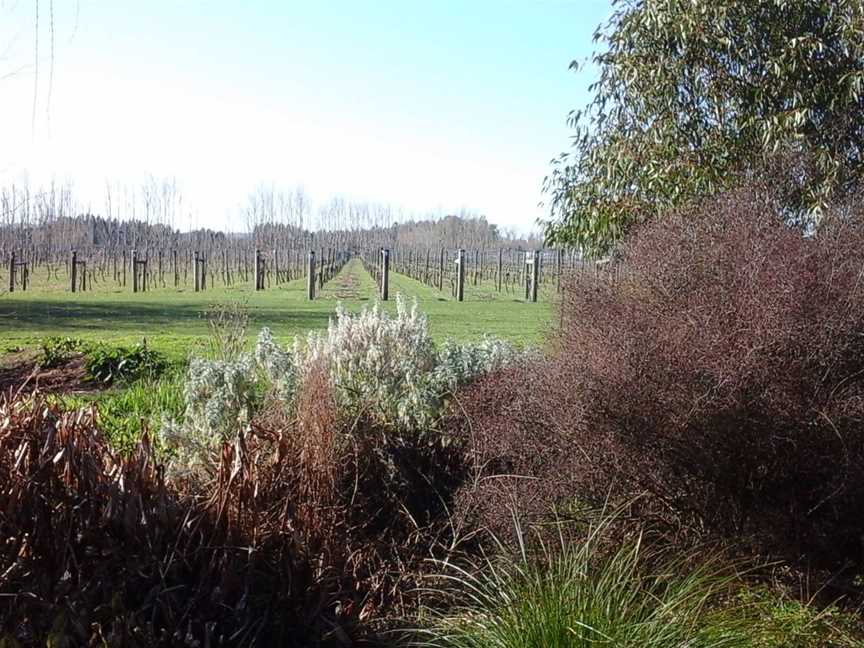 Paulownia Estate, Homebush, New Zealand