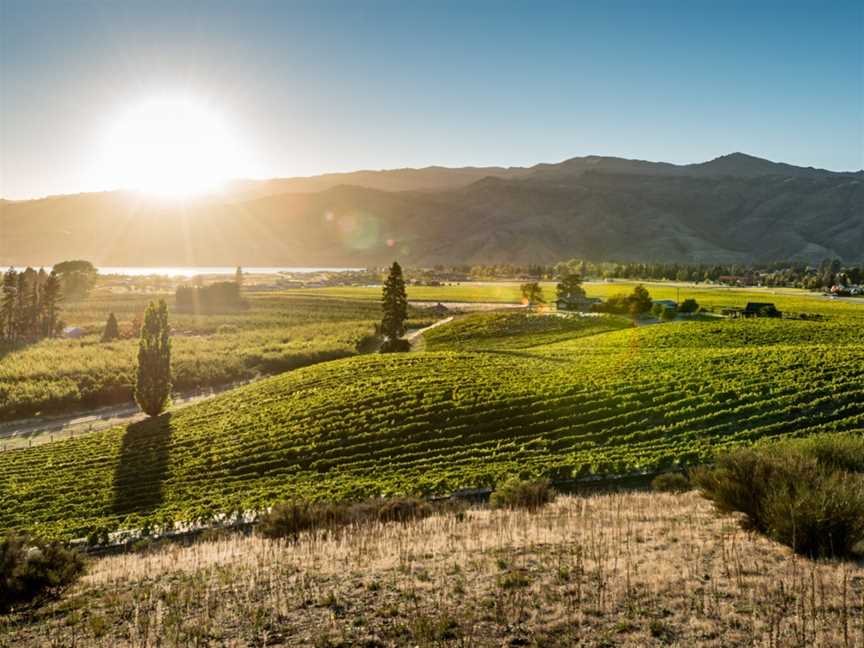 Scott Base Vineyard, Cromwell, New Zealand