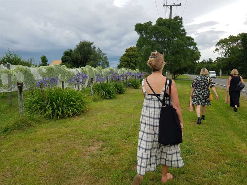 Schubert wines, Martinborough, New Zealand