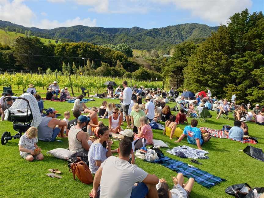Te Whai Bay Wines, Mangawhai, New Zealand